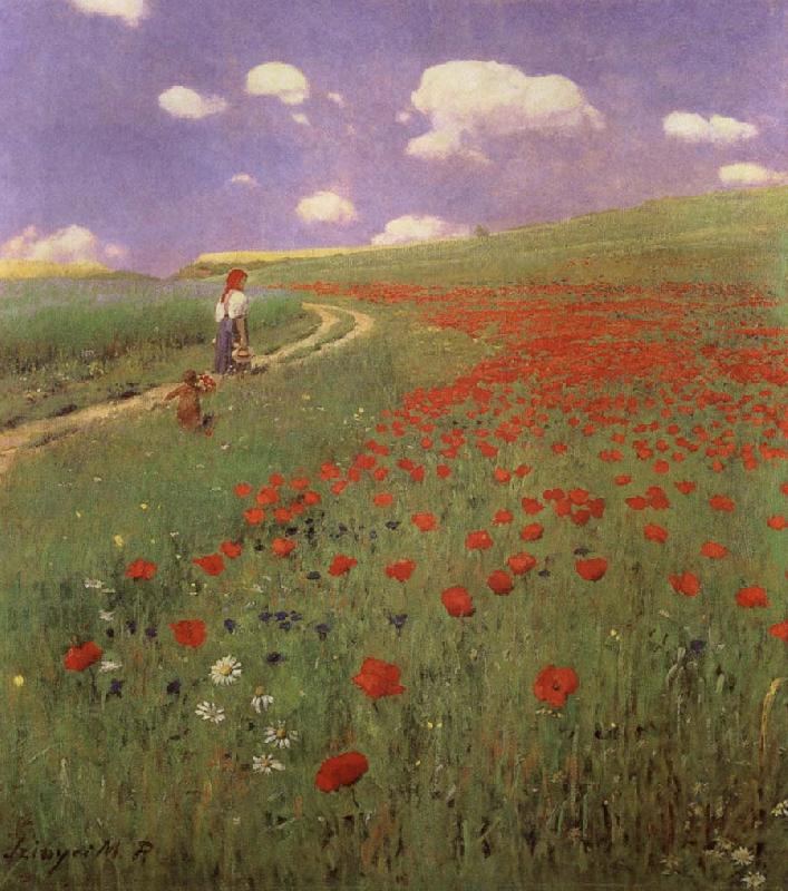 Merse, Pal Szinyei A Field of Poppies France oil painting art
